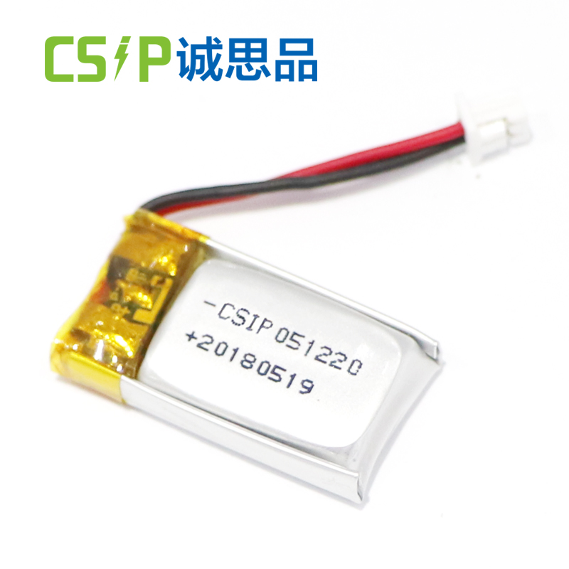 lithium polymer battery pack