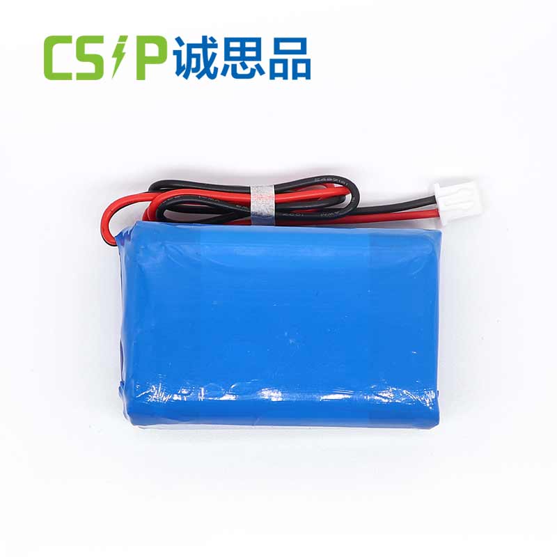 Lithium Ion Cell Lithium Battery Pack Rechargeable Lithium Batteries Direct Sales Factories CSIP 103450